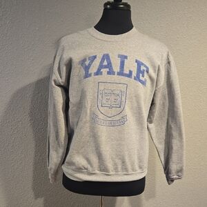 Men's Crewneck Sweater - Gray and Blue